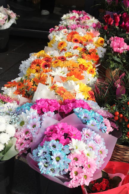 A vibrant display of fresh flower bouquets arranged in a row, featuring colorful daisies in shades of pink, white, blue, orange, and yellow, each wrapped in light pastel tissue paper. The bouquets are