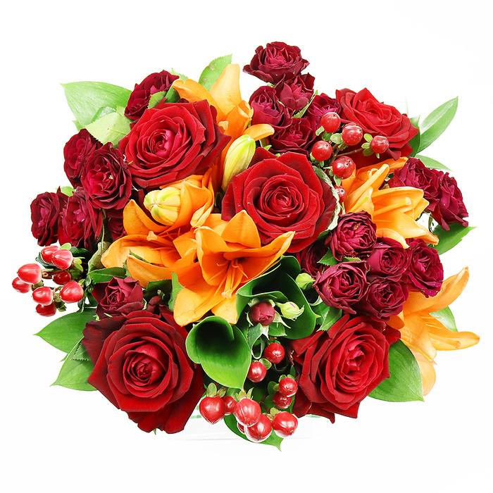Captured head-on from above on a pristine white backdrop, this lavish, circular bouquet by Flowers Barnsbury pairs theatrical colour with considered, garden-like texture. Dominating the arrangement are several large, fully opened deep red roses - their velvet-thick petals forming concentric layers that read as timeless and intimate. Interspersed among them, brilliant orange Asiatic lilies provide a striking counterpoint: some flowers open wide to expose their freckled throats and prominent stamens, while others are held in elegant buds, introducing movement and the promise of continued blooming. Rich, wine-coloured spray roses nestle close to the larger blooms, their miniature petals packed tightly to create pockets of sumptuous depth. Bright, glossy Hypericum berries appear in small clusters, their spherical shine catching soft light and adding an almost jewel-like punctuation throughout the bouquet. Lush green foliage - broad, glossy leaves reminiscent of ruscus or salal - frames and separates clusters, lending structure and a refreshing horticultural note. The soft, even lighting accentuates the contrasts: velvety matte roses, satiny lily petals, and the reflective surfaces of berries combine into a tactile visual symphony. In scent, the composition suggests a warm, floral chorus where rose depth meets a faint spicy-citrus lily tone. This arrangement reads as celebratory and deeply romantic, ideal for anniversaries, autumnal displays, or a special delivery across Barnsbury's Georgian squares and nearby Upper Street cafés, reflecting the care and local floral expertise customers expect from an Islington florist.